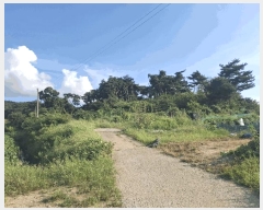  2025Ÿ��51619 �泲 ������ ������ ���긮 111-2      ����(��1)���