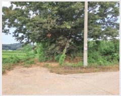  2025Ÿ��51619 �泲 ������ ������ ���긮 111-2      ����(��1)���