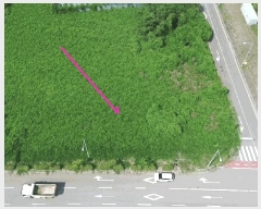  2025Ÿ��51639  ��Ÿ�������