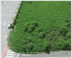  2025Ÿ��51639  ��Ÿ�������