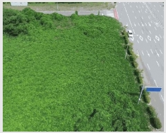  2025Ÿ��51639  ��Ÿ�������