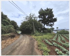  2025Ÿ��51651  �Ӿ߰��