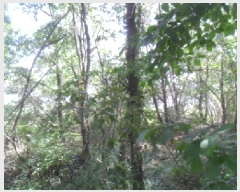  2025Ÿ��51651  �Ӿ߰��