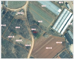  2025Ÿ��51651  �Ӿ߰��