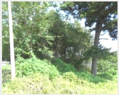  2025Ÿ��51651  �Ӿ߰��