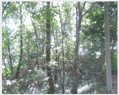  2025Ÿ��51651  �Ӿ߰��