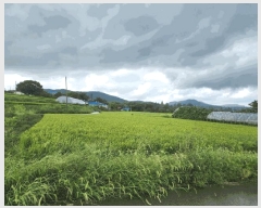  2025Ÿ��51674 �泲 ����� ���� ���帮 543-6      ����(��1)���