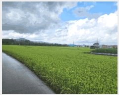  2025Ÿ��51674 �泲 ����� ���� ���帮 543-6      ����(��1)���