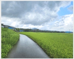  2025Ÿ��51674 �泲 ����� ���� ���帮 543-6      ����(��1)���