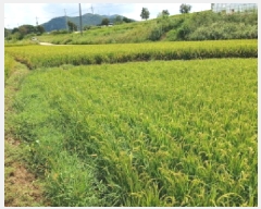  2025Ÿ��51674 �泲 ����� ���� ���帮 543-6      ����(��1)���