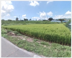  2025Ÿ��51674 �泲 ����� ���� ���帮 543-6      ����(��1)���