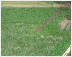  2025Ÿ��51693 �泲 ����� �Ⱥ��� ȣ�� 1-11      ����(��)���