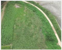  2025Ÿ��51693 �泲 ����� �Ⱥ��� ȣ�� 1-11      ����(��)���