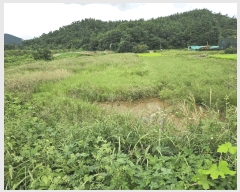  2025Ÿ��51693 �泲 ����� �Ⱥ��� ȣ�� 1-11      ����(��)���