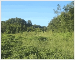  2025Ÿ��51694 �泲 ������ ������ ��ȭ�� 192-27      ��Ÿ�������