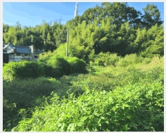  2025Ÿ��51694 �泲 ������ ������ ��ȭ�� 192-27      ��Ÿ�������