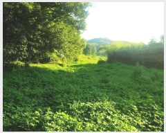  2025Ÿ��51694 �泲 ������ ������ ��ȭ�� 192-27      ��Ÿ�������