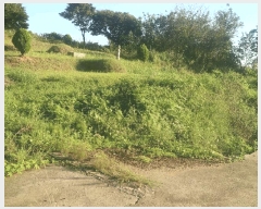  2025Ÿ��51694 �泲 ������ ������ ��ȭ�� 192-27      ��Ÿ�������