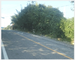  2025Ÿ��51694 �泲 ������ ������ ��ȭ�� 192-27      ��Ÿ�������