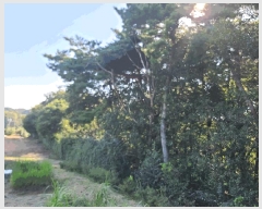  2025Ÿ��51694 �泲 ������ ������ ��ȭ�� 192-27      ��Ÿ�������