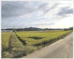  2025Ÿ��51777 �泲 ����� ���� �ż��� 388-1      ����(��)���
