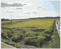  2025Ÿ��51777 �泲 ����� ���� �ż��� 388-1      ����(��)���