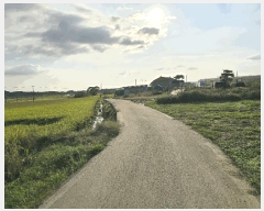  2025Ÿ��51777 �泲 ����� ���� �ż��� 388-1      ����(��)���