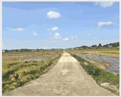  2025Ÿ��51777 �泲 ����� ���� �ż��� 388-1      ����(��)���