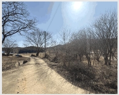  2025Ÿ��339 �泲 ������ ������ ���θ� 205      ����(��)���