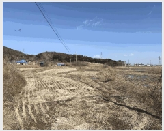  2025Ÿ��339 �泲 ������ ������ ���θ� 205      ����(��)���