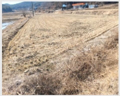  2025Ÿ��339 �泲 ������ ������ ���θ� 178      ����(��)���