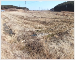  2025Ÿ��339 �泲 ������ ������ ���θ� 178      ����(��)���