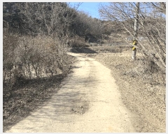  2025Ÿ��339 �泲 ������ ������ ���θ� 205      ����(��)���