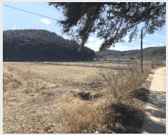  2025Ÿ��339 �泲 ������ ������ ���θ� 205      ����(��)���