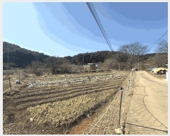  2025Ÿ��339 �泲 ������ ������ ���θ� 205      ����(��)���