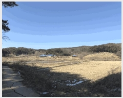  2025Ÿ��339 �泲 ������ ������ ���θ� 205      ����(��)���