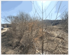  2025Ÿ��339 �泲 ������ ������ ���θ� 205      ����(��)���