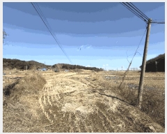  2025Ÿ��339 �泲 ������ ������ ���θ� 205      ����(��)���