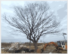  2025Ÿ��516  �������