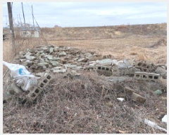  2025Ÿ��516  �������