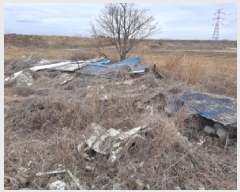  2025Ÿ��516  �������