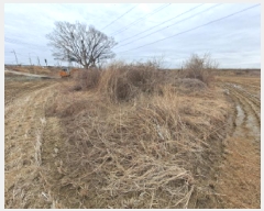  2025Ÿ��516  �������