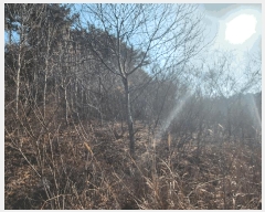  2025Ÿ��527 �泲 �¾ȱ� �̿��� ������ 425-2      ����(�Ӿ�)���