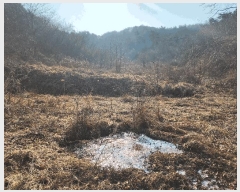  2025Ÿ��527 �泲 �¾ȱ� �̿��� ������ 425-2      ����(�Ӿ�)���