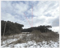  2025Ÿ��50013  ����