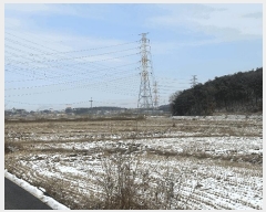  2025Ÿ��50013  ����