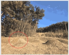  2025Ÿ��50013  ����