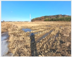  2025Ÿ��50013  ����