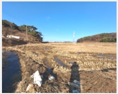  2025Ÿ��50013  ����