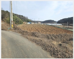  2025Ÿ��50020  ����